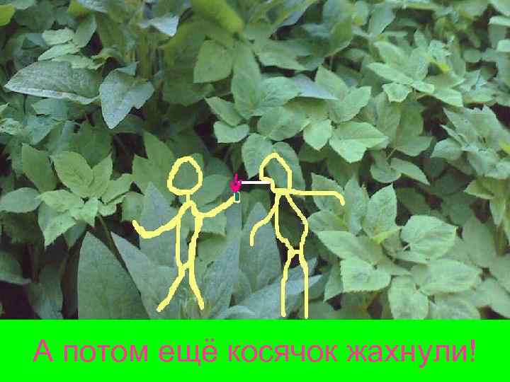 А потом ещё косячок жахнули! Нажрались как свиньи! 