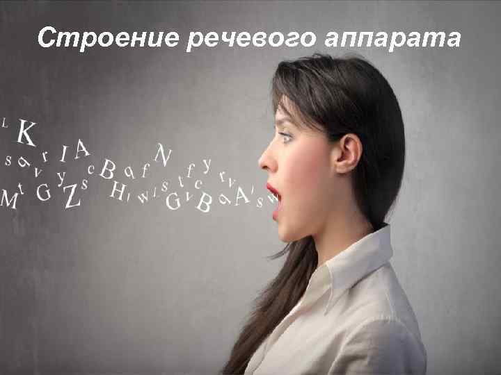 Строение речевого аппарата 