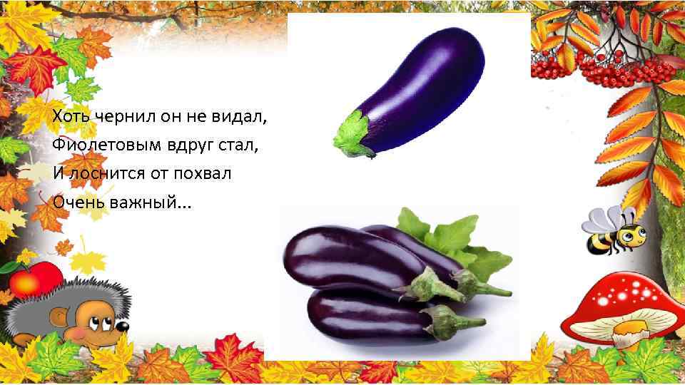 Хоть чернил он не видал, Фиолетовым вдруг стал, И лоснится от похвал Очень важный.