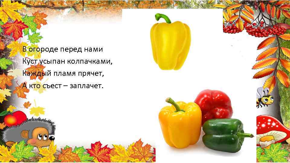 В огороде перед нами Куст усыпан колпачками, Каждый пламя прячет, А кто съест –