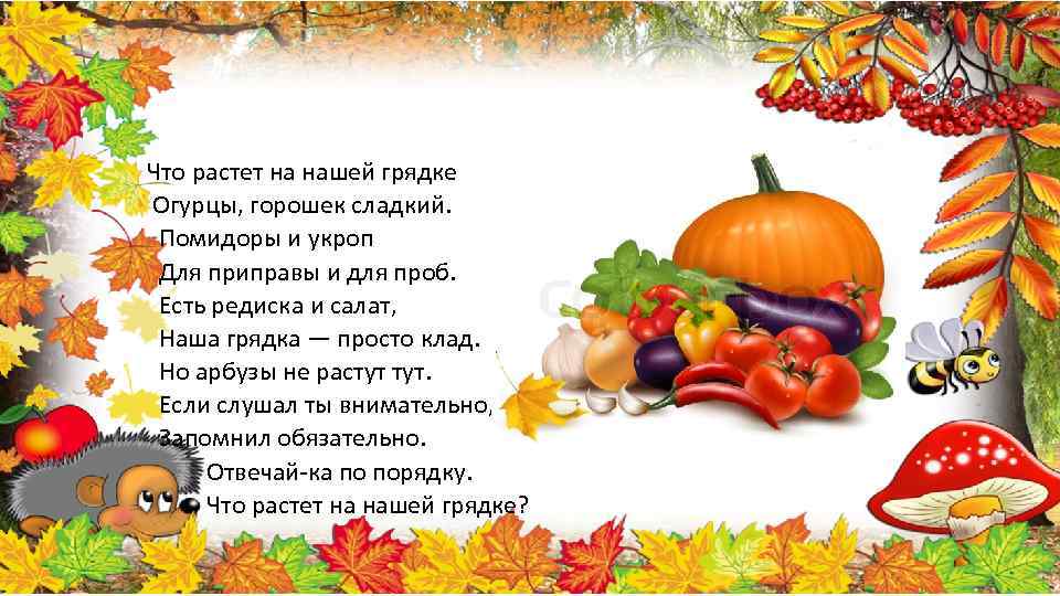 Что растет на нашей грядке Огурцы, горошек сладкий. Помидоры и укроп Для приправы и