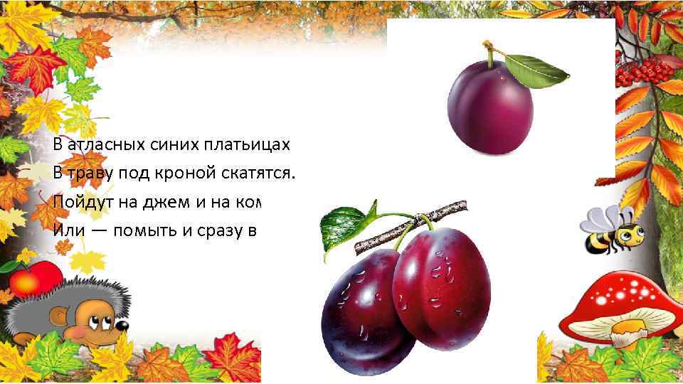 В атласных синих платьицах В траву под кроной скатятся. Пойдут на джем и на