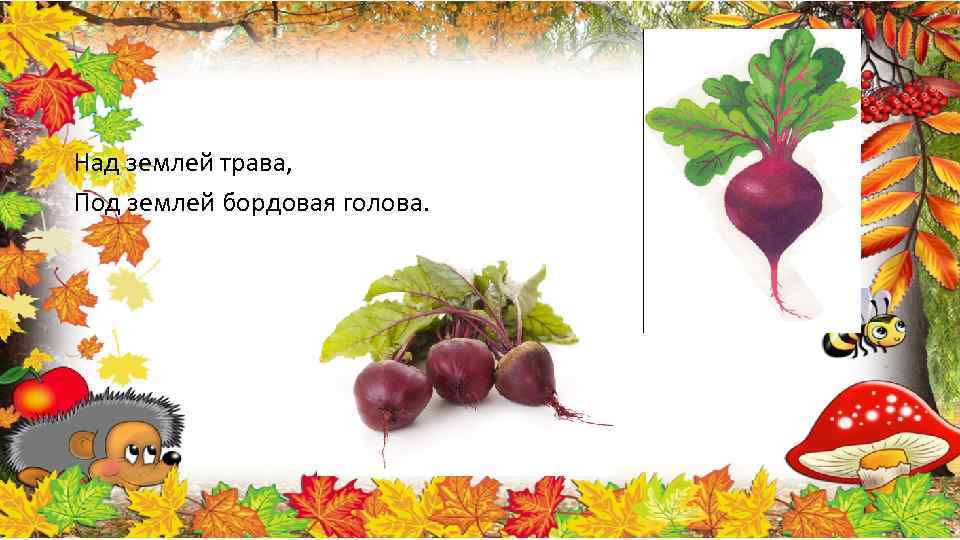 Над землей трава, Под землей бордовая голова. 