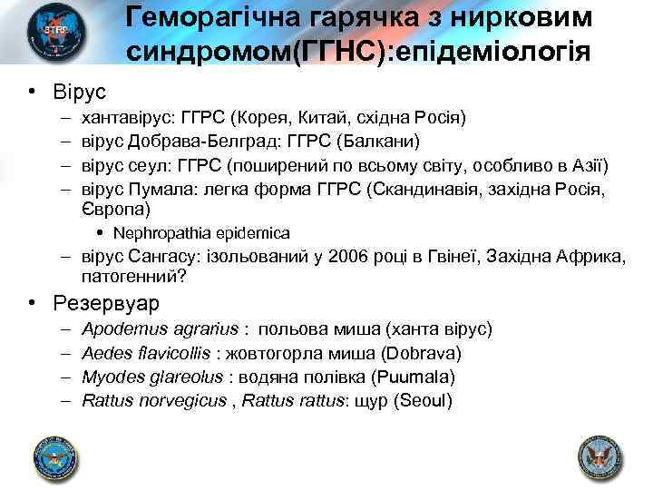 Геморагічна гарячка з нирковим синдромом(ГГНС): епідеміологія • Вірус – – хантавірус: ГГРС (Корея, Китай,