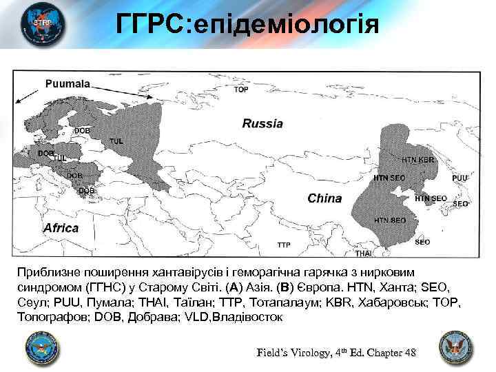 ГГРС: епідеміологія Приблизне поширення хантавірусів і геморагічна гарячка з нирковим синдромом (ГГНС) у Старому