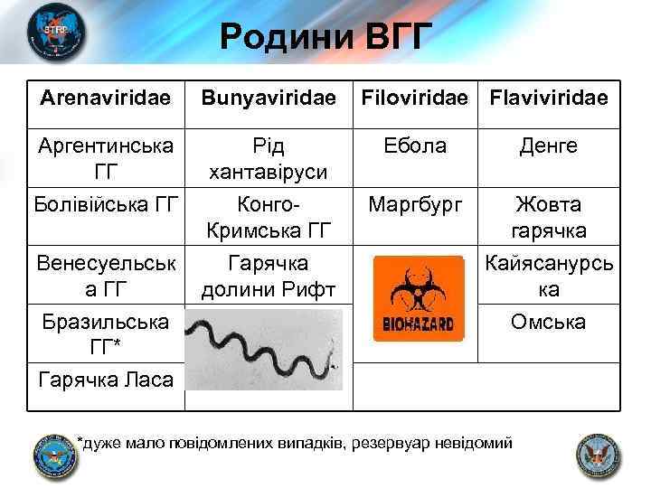 Родини ВГГ Arenaviridae Bunyaviridae Filoviridae Flaviviridae Аргентинська ГГ Рід хантавіруси Ебола Денге Болівійська ГГ