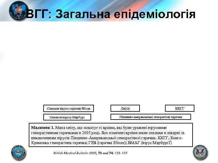 ВГГ: Загальна епідеміологія Спалахи вірусу гарячки Ебола Спалахи вірусу Марбург Ласса ККГГ Південно-американські геморагічні