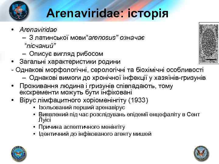 Arenaviridae: історія • Arenaviridae – З латинської мови“arenosus” означає “пісчаний” – Описує вигляд рибосом