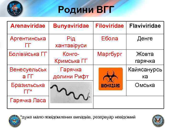 Родини ВГГ Arenaviridae Bunyaviridae Filoviridae Flaviviridae Аргентинська ГГ Рід хантавіруси Ебола Денге Болівійська ГГ