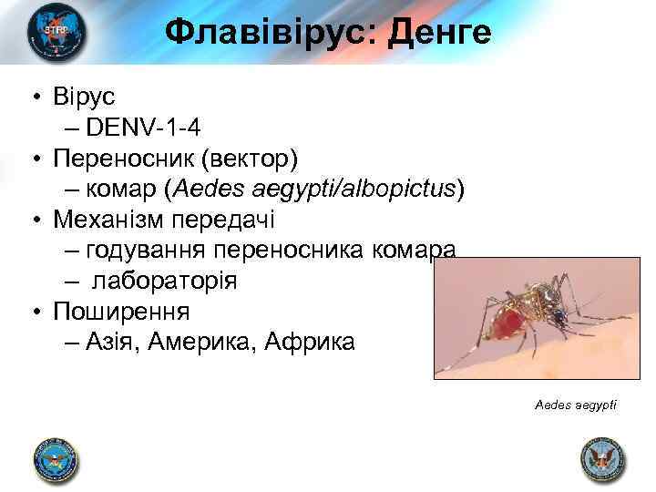 Флавівірус: Денге • Вірус – DENV-1 -4 • Переносник (вектор) – комар (Aedes aegypti/albopictus)