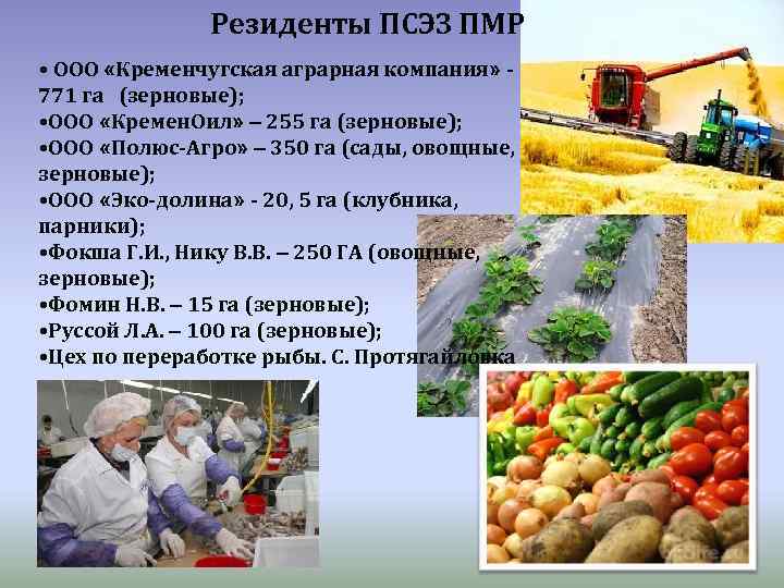 Резиденты ПСЭЗ ПМР • ООО «Кременчугская аграрная компания» 771 га (зерновые); • ООО «Кремен.