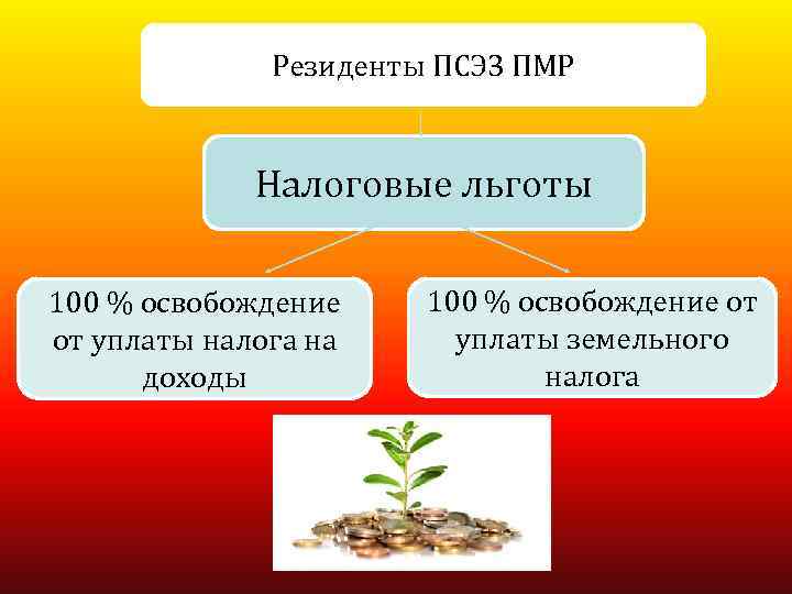 Резиденты ПСЭЗ ПМР Налоговые льготы 100 % освобождение от уплаты налога на доходы 100