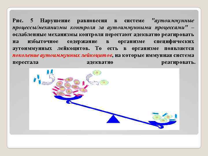 Рис. 5 Нарушение равновесия в системе "аутоиммунные процессы/механизмы контроля за аутоиммунными процессами" – ослабленные