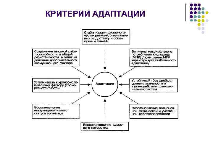 КРИТЕРИИ АДАПТАЦИИ 