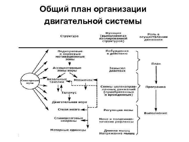 Это сюжет образный или условный замысел план игры правила и двигательные действия