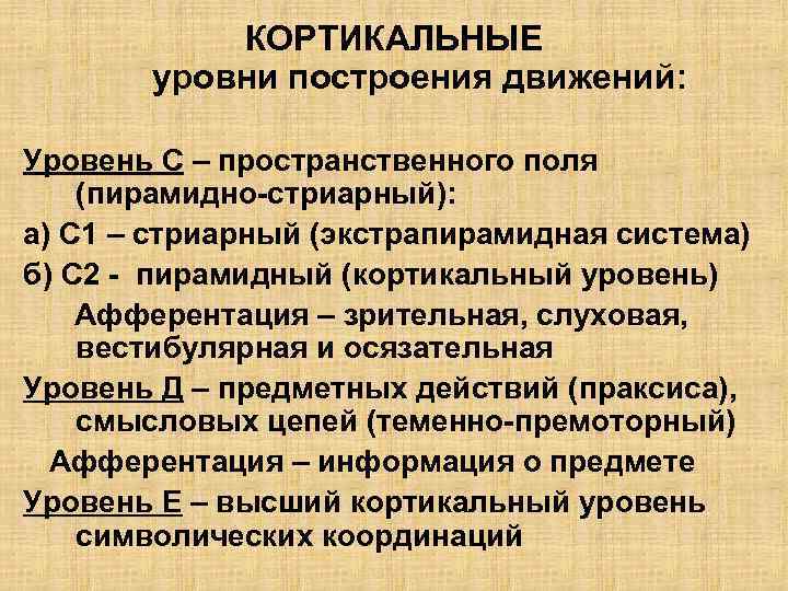 КОРТИКАЛЬНЫЕ уровни построения движений: Уровень С – пространственного поля (пирамидно-стриарный): а) С 1 –