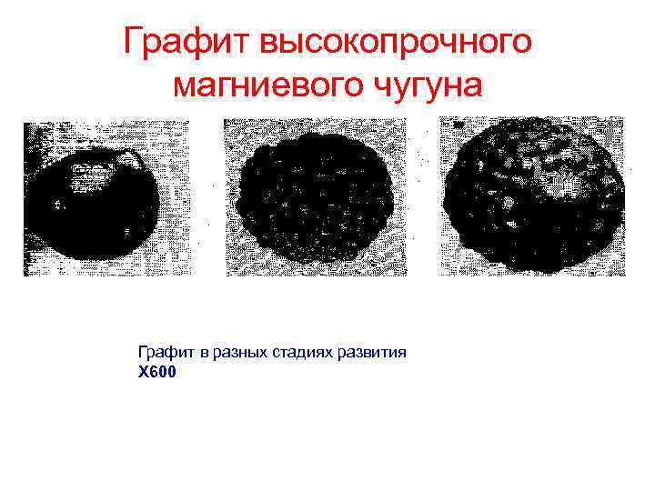 Графит высокопрочного магниевого чугуна Графит в разных стадиях развития Х 600 