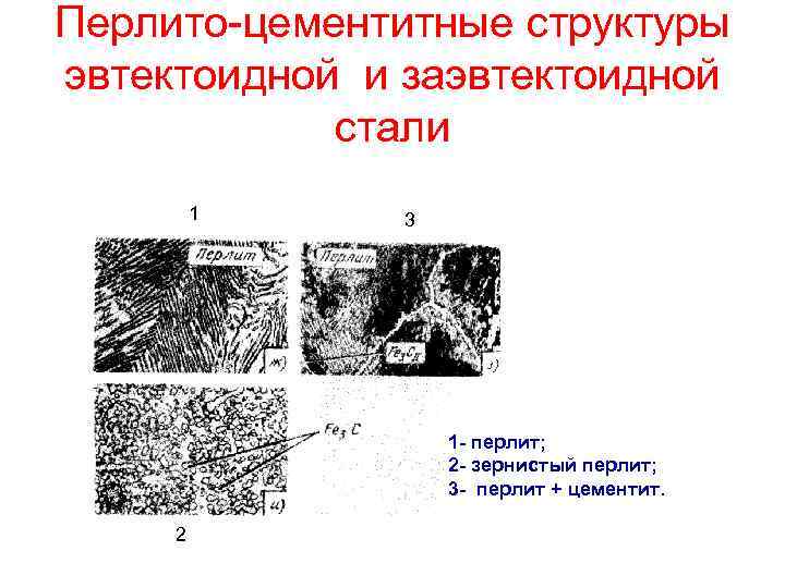 Перлито-цементитные структуры эвтектоидной и заэвтектоидной стали 1 3 1 - перлит; 2 - зернистый