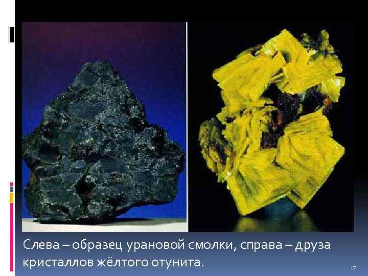 Слева – образец урановой смолки, справа – друза кристаллов жёлтого отунита. 17 