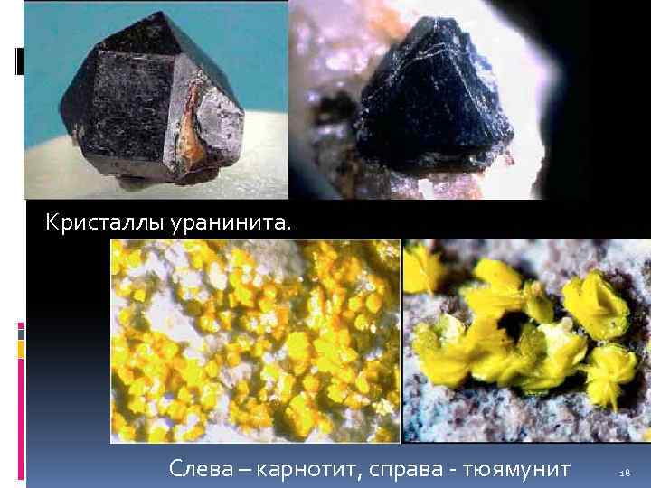 Кристаллы уранинита. Слева – карнотит, справа - тюямунит 18 