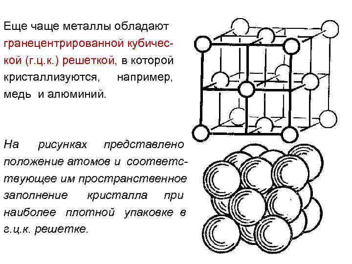 Еще чаще металлы обладают гранецентрированной кубической (г. ц. к. ) решеткой, в которой кристаллизуются,