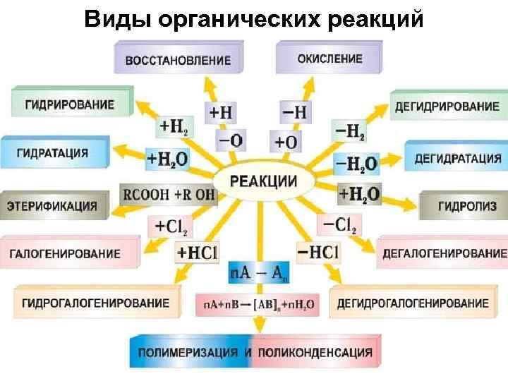 Виды органических реакций 