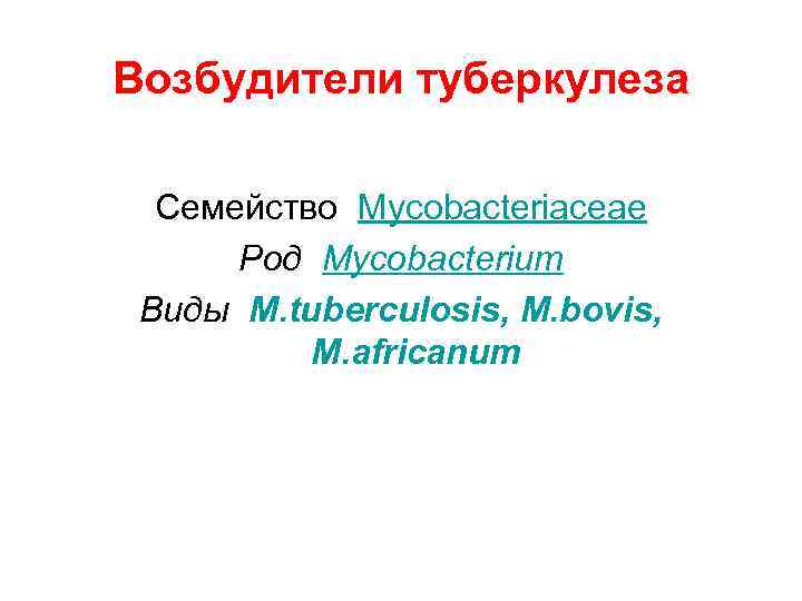 Возбудители туберкулеза Семейство Mycobacteriaceae Род Mycobacterium Виды M. tuberculosis, M. bovis, M. africanum 