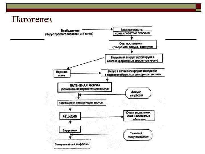 Патогенез 