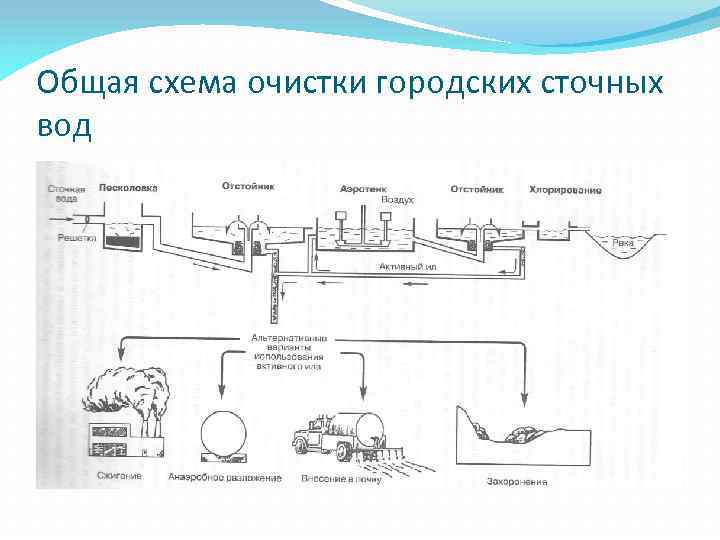 Общая схема очистки городских сточных вод 