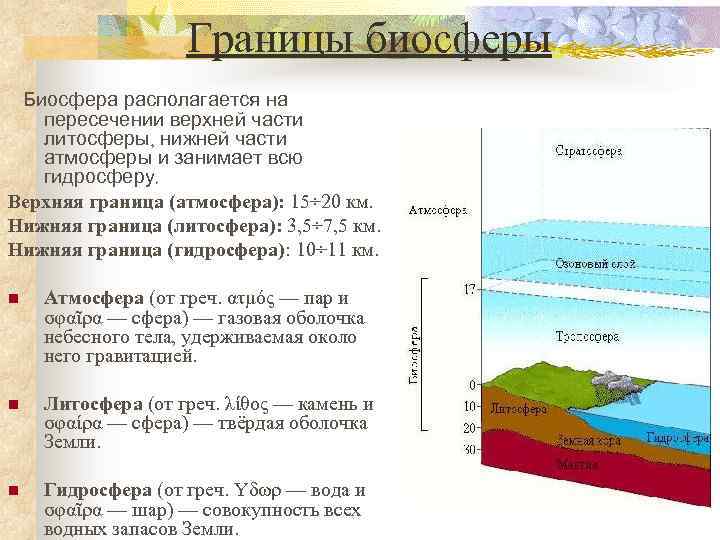  Границы биосферы. Биосфера располагается на пересечении верхней части литосферы, нижней части атмосферы и