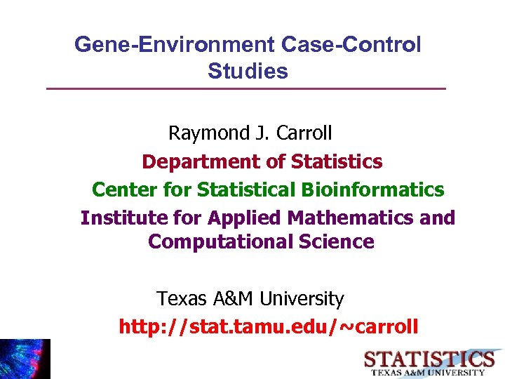 Gene-Environment Case-Control Studies Raymond J. Carroll Department of Statistics Center for Statistical Bioinformatics Institute