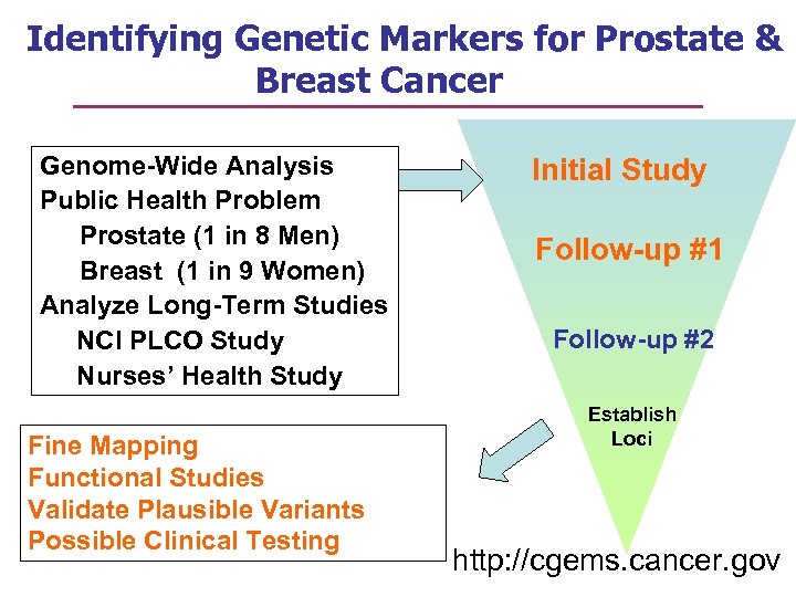 Identifying Genetic Markers for Prostate & Breast Cancer Genome-Wide Analysis Public Health Problem Prostate