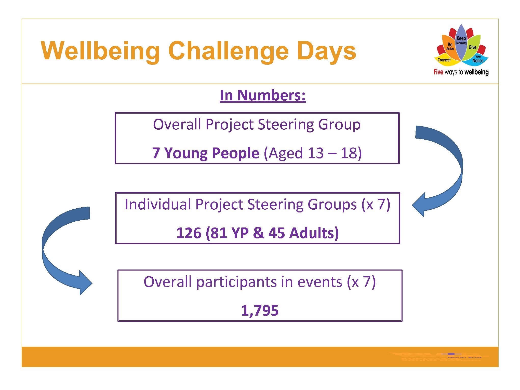 Wellbeing Challenge Days In Numbers: Overall Project Steering Group 7 Young People (Aged 13