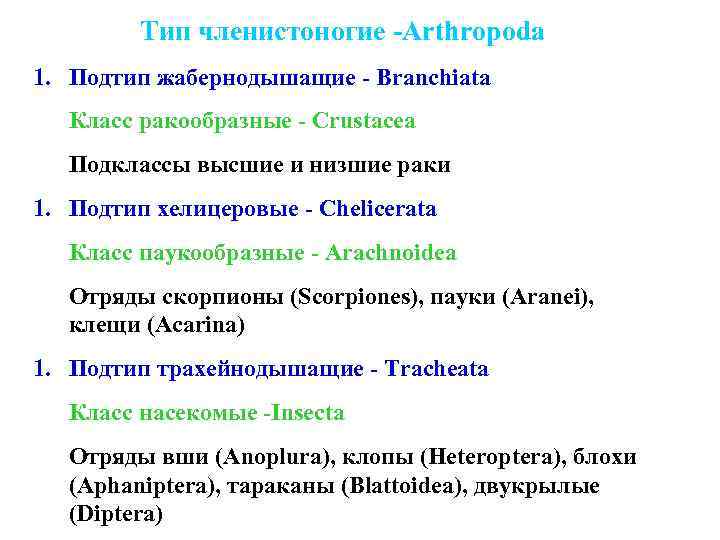 Тип членистоногие -Arthropoda 1. Подтип жабернодышащие - Branchiata Класс ракообразные - Crustacea Подклассы высшие