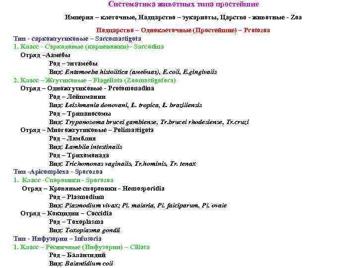 Систематика животных типа простейшие Империя – клеточные, Надцарство – эукариоты, Царство - животные -