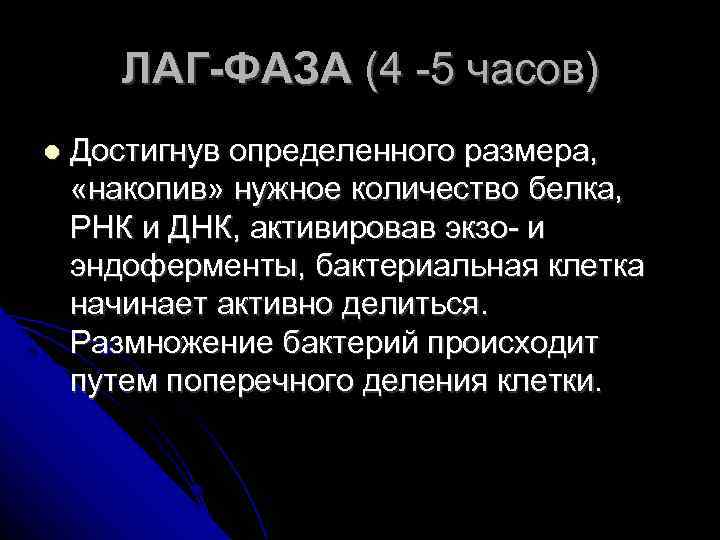 ЛАГ-ФАЗА (4 -5 часов) Достигнув определенного размера, «накопив» нужное количество белка, РНК и ДНК,