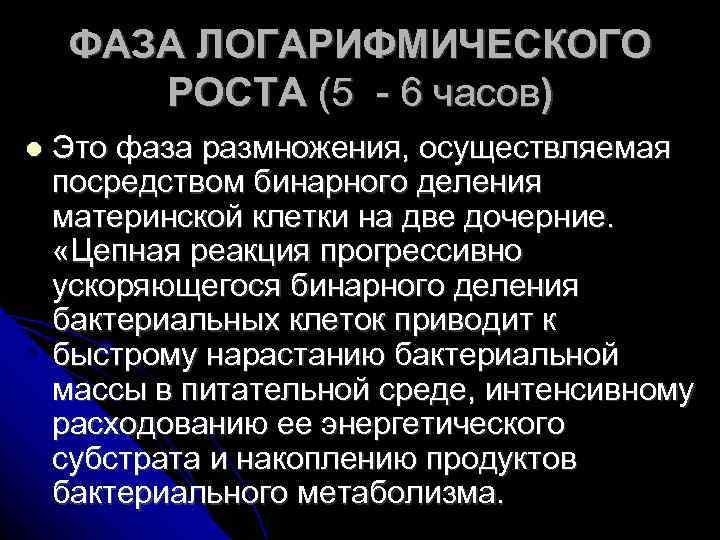 ФАЗА ЛОГАРИФМИЧЕСКОГО РОСТА (5 - 6 часов) Это фаза размножения, осуществляемая посредством бинарного деления