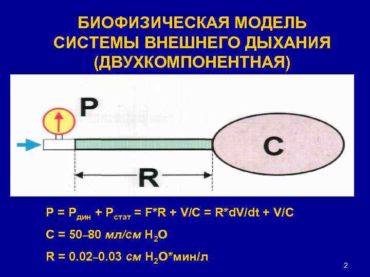 БИОФИЗИЧЕСКАЯ МОДЕЛЬ СИСТЕМЫ ВНЕШНЕГО ДЫХАНИЯ (ДВУХКОМПОНЕНТНАЯ) Р = Рдин + Рстат = F*R +