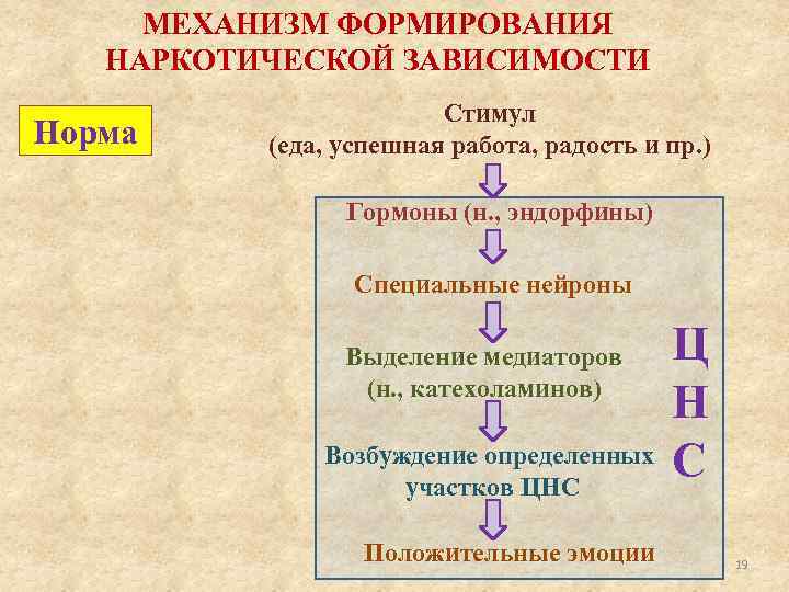 МЕХАНИЗМ ФОРМИРОВАНИЯ НАРКОТИЧЕСКОЙ ЗАВИСИМОСТИ Норма Стимул (еда, успешная работа, радость и пр. ) Гормоны