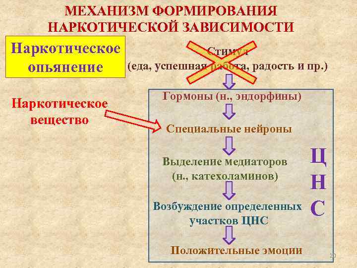 МЕХАНИЗМ ФОРМИРОВАНИЯ НАРКОТИЧЕСКОЙ ЗАВИСИМОСТИ Наркотическое опьянение Наркотическое вещество Стимул (еда, успешная работа, радость и