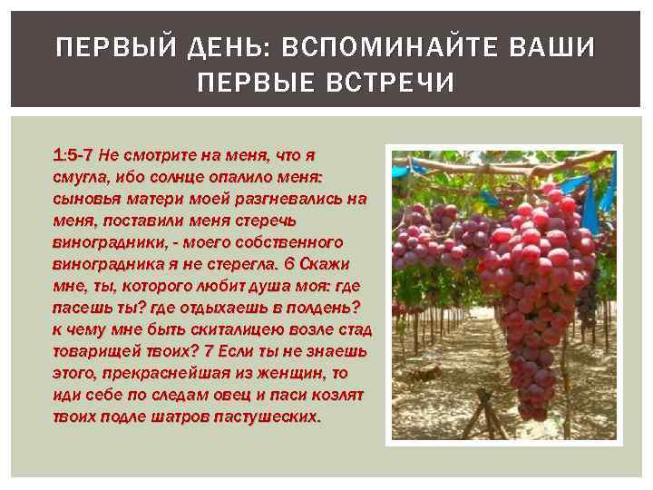 ПЕРВЫЙ ДЕНЬ: ВСПОМИНАЙТЕ ВАШИ ПЕРВЫЕ ВСТРЕЧИ 1: 5 -7 Не смотрите на меня, что