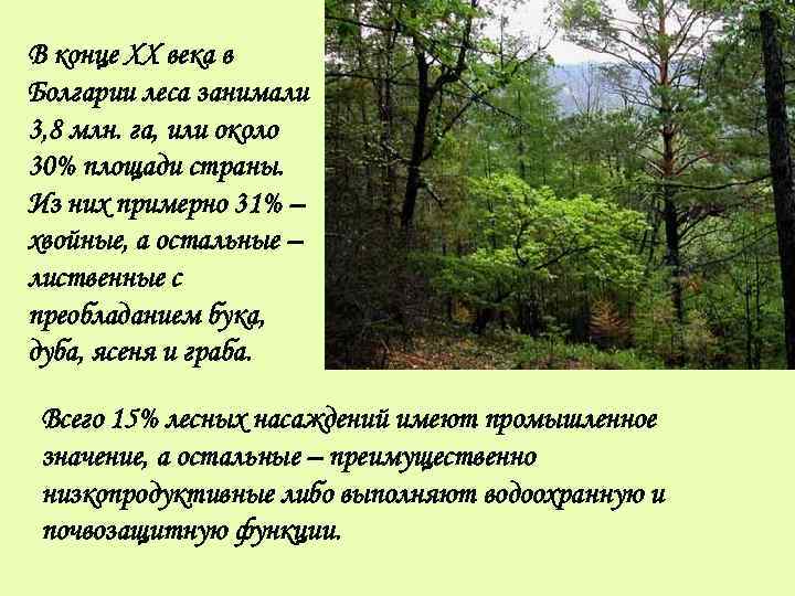 В конце XX века в Болгарии леса занимали 3, 8 млн. га, или около