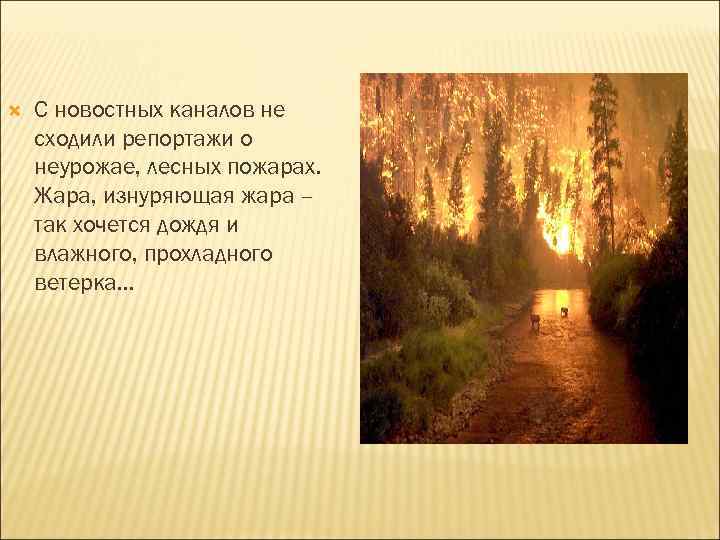  С новостных каналов не сходили репортажи о неурожае, лесных пожарах. Жара, изнуряющая жара