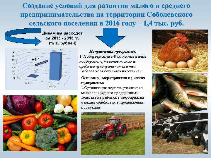 Создание условий для развития малого и среднего предпринимательства на территории Соболевского сельского поселения в