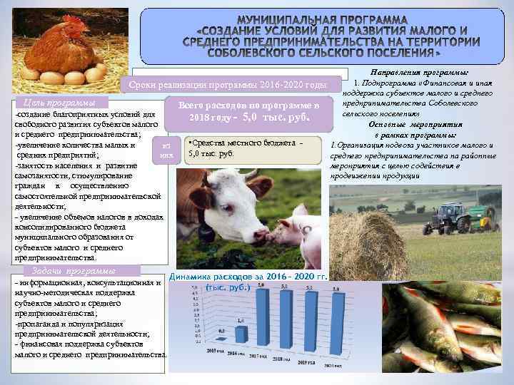 Направления программы: 1. Подпрограмма «Финансовая и иная Сроки реализации программы 2016 -2020 годы поддержка