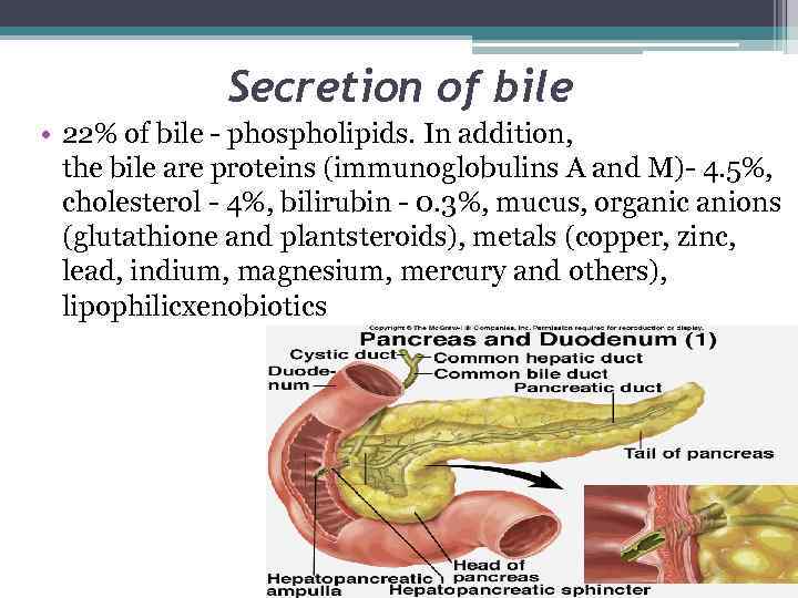 Secretion of bile • 22% of bile - phospholipids. In addition, the bile are