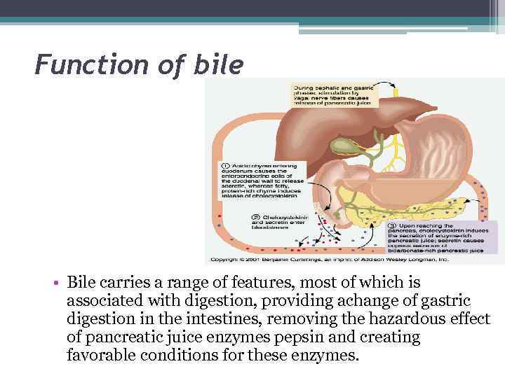 Function of bile • Bile carries a range of features, most of which is