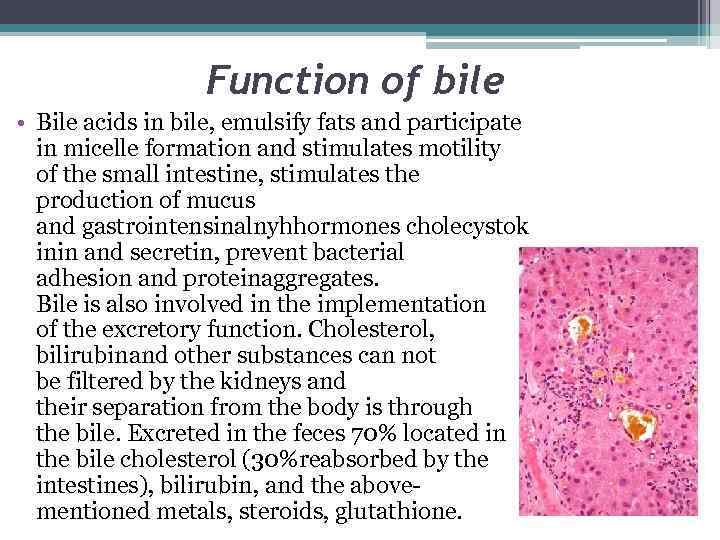 Function of bile • Bile acids in bile, emulsify fats and participate in micelle