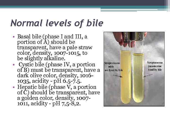 Normal levels of bile • Basal bile (phase I and III, a portion of