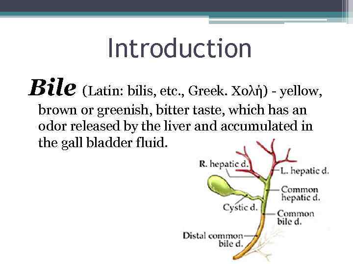 Introduction Bile (Latin: bilis, etc. , Greek. Χολή) - yellow, brown or greenish, bitter